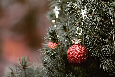Christbaum Christbaum